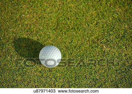 Elevated view of golf ball on grass View Large Photo Image Stock Image - Elevated view of golf ball on grass. Fotosearch