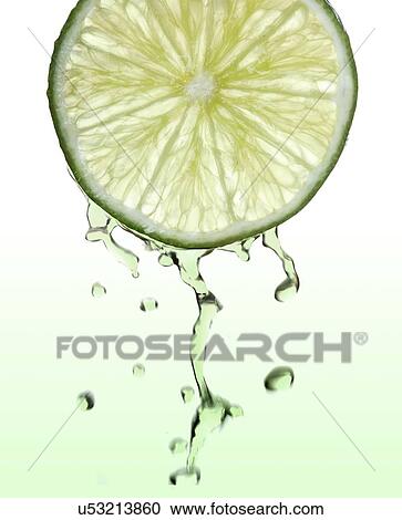 Fresh lime slice with juice drops View Large Photo Image Stock Image - Fresh lime slice with juice drops. Fotosearch