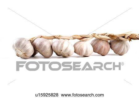 Stock Photo - Garlic on white background - close-up. Fotosearch