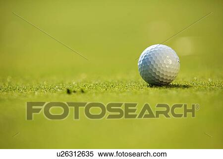 Stock Photography - Golf ball on grass. Fotosearch