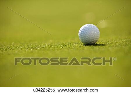 Golf ball on grass View Large Photo Image Stock Photography - Golf ball on grass. Fotosearch