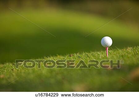 Golf ball on tee View Large Photo Image Stock Photo - Golf ball on tee. Fotosearch