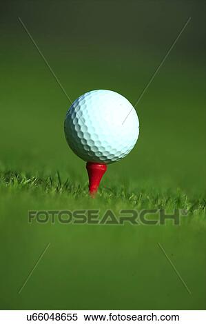 Golf ball on tee View Large Photo Image Stock Photography - Golf ball on tee. Fotosearch