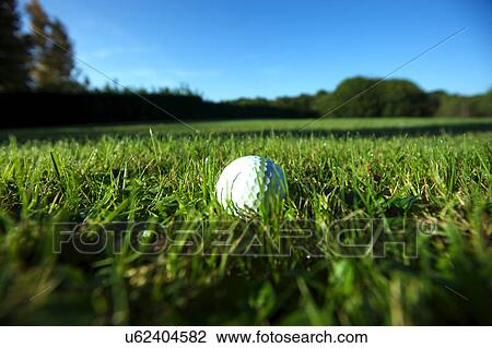 Golf ball on wet lush fairway View Large Photo Image Stock Image - Golf ball on wet lush fairway. Fotosearch