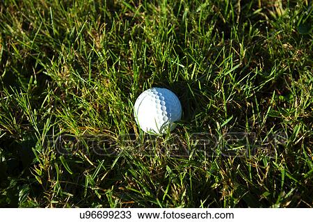 Golf ball on wet lush fairway View Large Photo Image Stock Image - Golf ball on wet lush fairway. Fotosearch