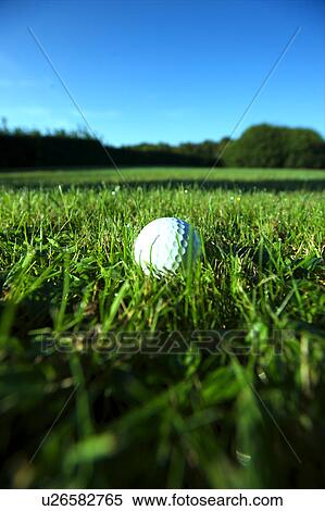 Golf ball on wet lush fairway View Large Photo Image Stock Photography - Golf ball on wet lush fairway. Fotosearch