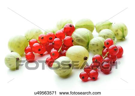 Stock Image - Gooseberries and redcurrants on white background. Fotosearch