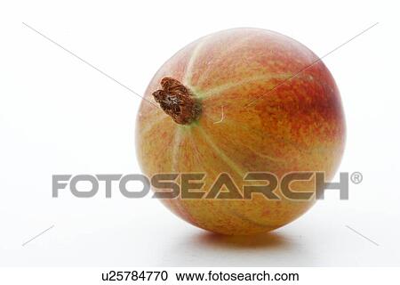 Stock Image - Gooseberry on white background - studio shot. Fotosearch
