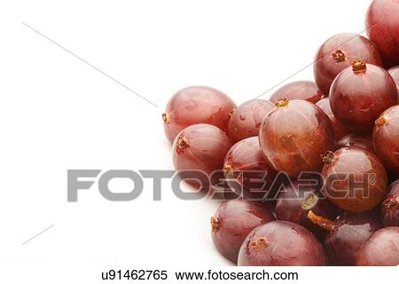 Stock Photography - Gooseberry on white background - studio shot. Fotosearch