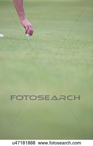 Stock Photo - Hand placing ball on golf tee. Fotosearch