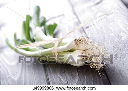 Stock Photograph - Leeks on wooden table - close-up. Fotosearch