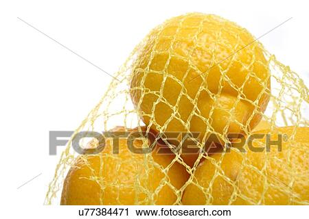 Lemons on white background - studio shot View Large Photo Image Stock Image - Lemons on white background - studio shot. Fotosearch