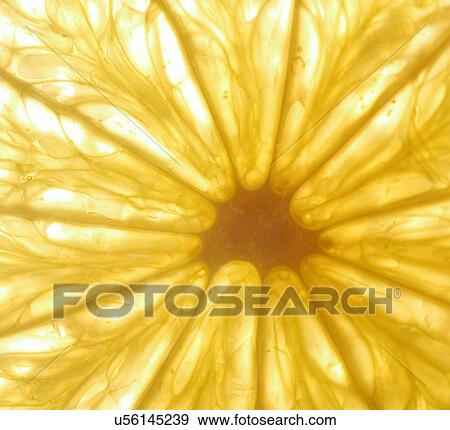Lime slices on white background View Large Photo Image Stock Photo - Lime slices on white background. Fotosearch