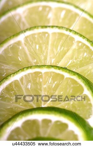 Lime slices on white background View Large Photo Image Stock Photography - Lime slices on white background. Fotosearch