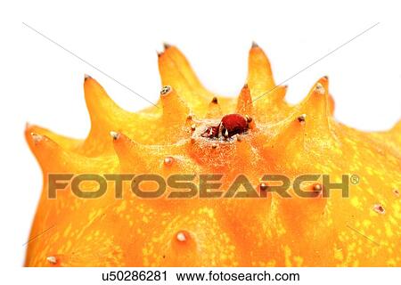Stock Image - lose up of kiwano - studio shot. Fotosearch