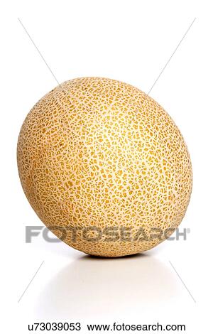 Stock Image - Melon on white background - close-up. Fotosearch