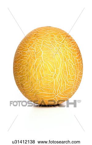 Melon on white background - studio shot View Large Photo Image Stock Photo - Melon on white background - studio shot. Fotosearch