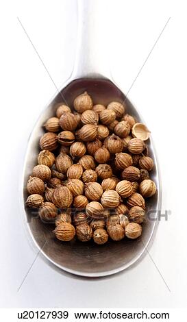 Stock Photo - Mustard seeds on a spoon. Fotosearch