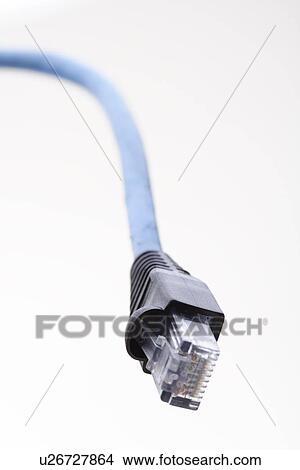 Picture - Network cable on white background. Fotosearch