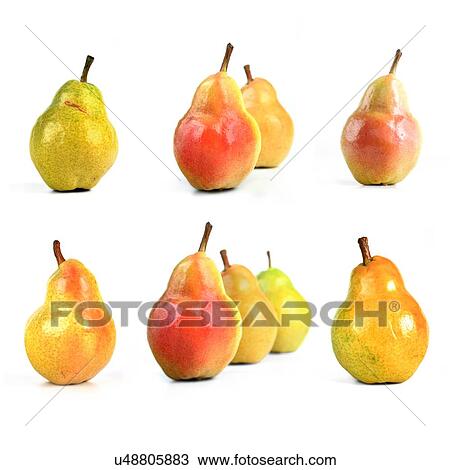 Stock Image - Pears on white background. Fotosearch