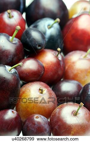 Plums on white bacground - close-up View Large Photo Image Stock Photo - Plums on white bacground - close-up. Fotosearch