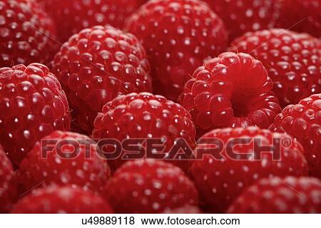 Stock Photo - Raspberries backbround - close-up. Fotosearch