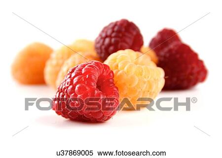 Stock Photography - Red and yellow raspberries on white background. Fotosearch