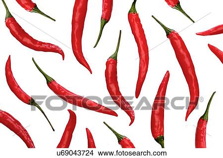Picture - Red chili peppers on white background. Fotosearch