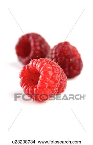 Picture - Red raspberries on white background. Fotosearch