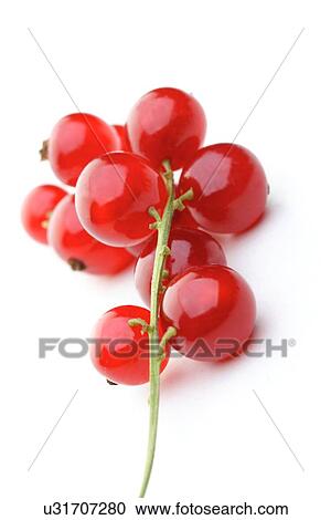 Stock Image - Redcurrants. Fotosearch
