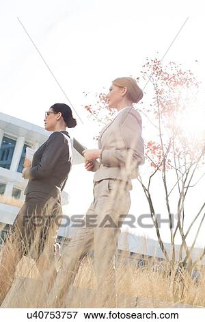 Side view of confident businesswomen walking against clear sky View Large Photo Image Stock Photo - Side view of confident businesswomen walking against clear sky. Fotosearch