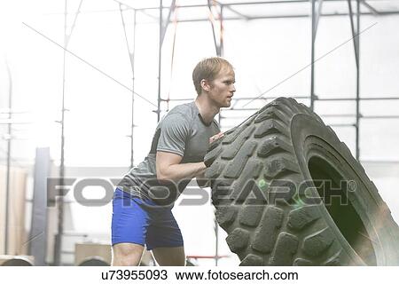 Side view of dedicated man flipping tire in crossfit gym View Large Photo Image Stock Image - Side view of dedicated man flipping tire in crossfit gym. Fotosearch