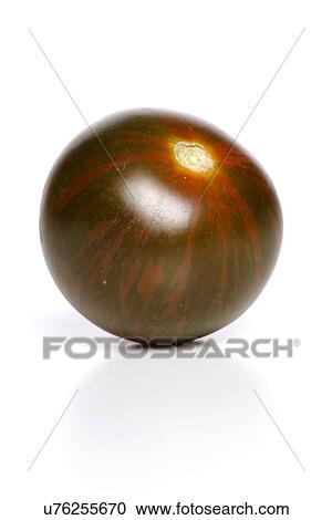 Studio shot of black tomato on white background View Large Photo Image Stock Image - Studio shot of black tomato on white background. Fotosearch