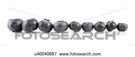 Studio shot of blueberries on white background View Large Photo Image Stock Photo - Studio shot of blueberries on white background. Fotosearch