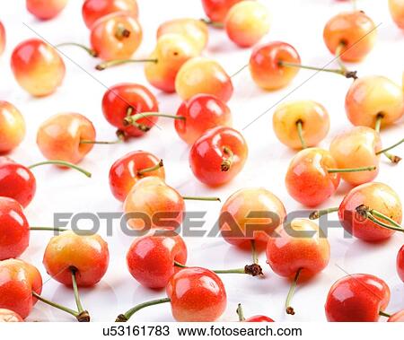 Stock Image - Studio shot of cherries on white background. Fotosearch