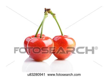 Studio shot of cherries on white background View Large Photo Image Stock Image - Studio shot of cherries on white background. Fotosearch