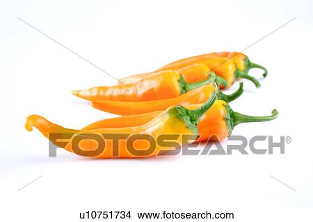 Picture - Studio shot of chilli peppers. Fotosearch