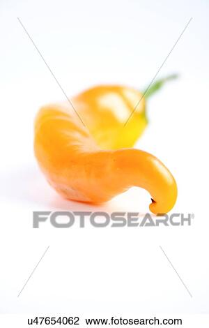 Studio shot of chilli peppers View Large Photo Image Stock Image - Studio shot of chilli peppers. Fotosearch