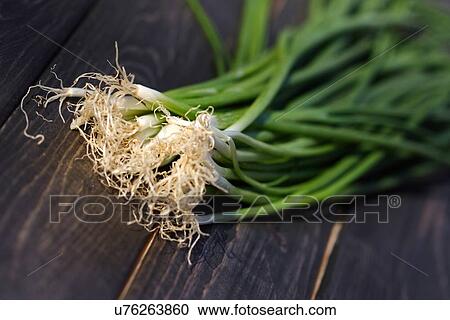 Studio shot of chive - close up View Large Photo Image Stock Image - Studio shot of chive - close up. Fotosearch
