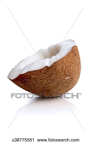 Studio shot of coconut on white background View Large Photo Image Stock Image - Studio shot of coconut on white background. Fotosearch