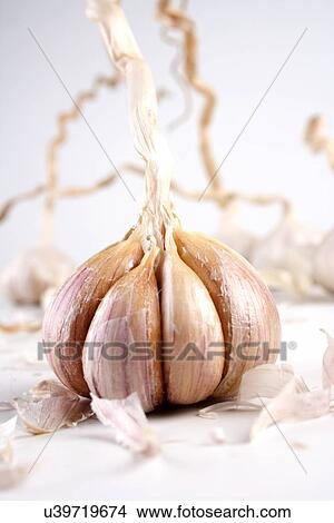 Picture - Studio shot of garlic on white background. Fotosearch