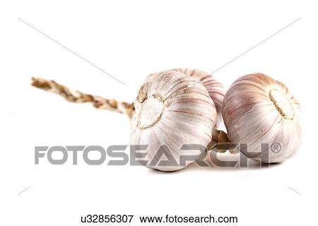 Stock Photo - Studio shot of garlic on white background. Fotosearch