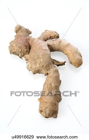 Stock Photo - Studio shot of ginger on white background. Fotosearch