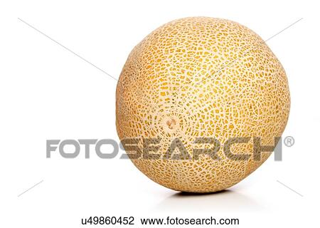 Stock Image - Studio shot of melons on white background. Fotosearch