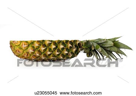 Studio shot of pineapple on white background View Large Photo Image Stock Photography - Studio shot of pineapple on white background. Fotosearch