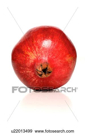 Stock Photo - Studio shot of pomegranate fruit. Fotosearch