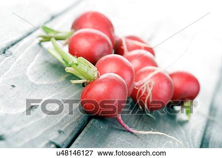 Stock Photo - Studio shot of radish on wooden table. Fotosearch
