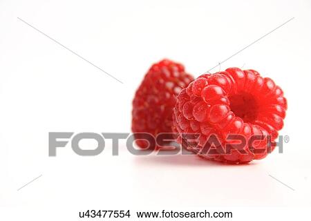 Picture - Studio shot of red raspberries. Fotosearch