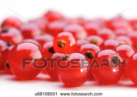 Stock Image - Studio shot of redcurrats on white background. Fotosearch
