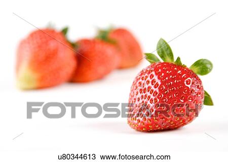 Studio shot of strawberries on white background View Large Photo Image Stock Image - Studio shot of strawberries on white background. Fotosearch